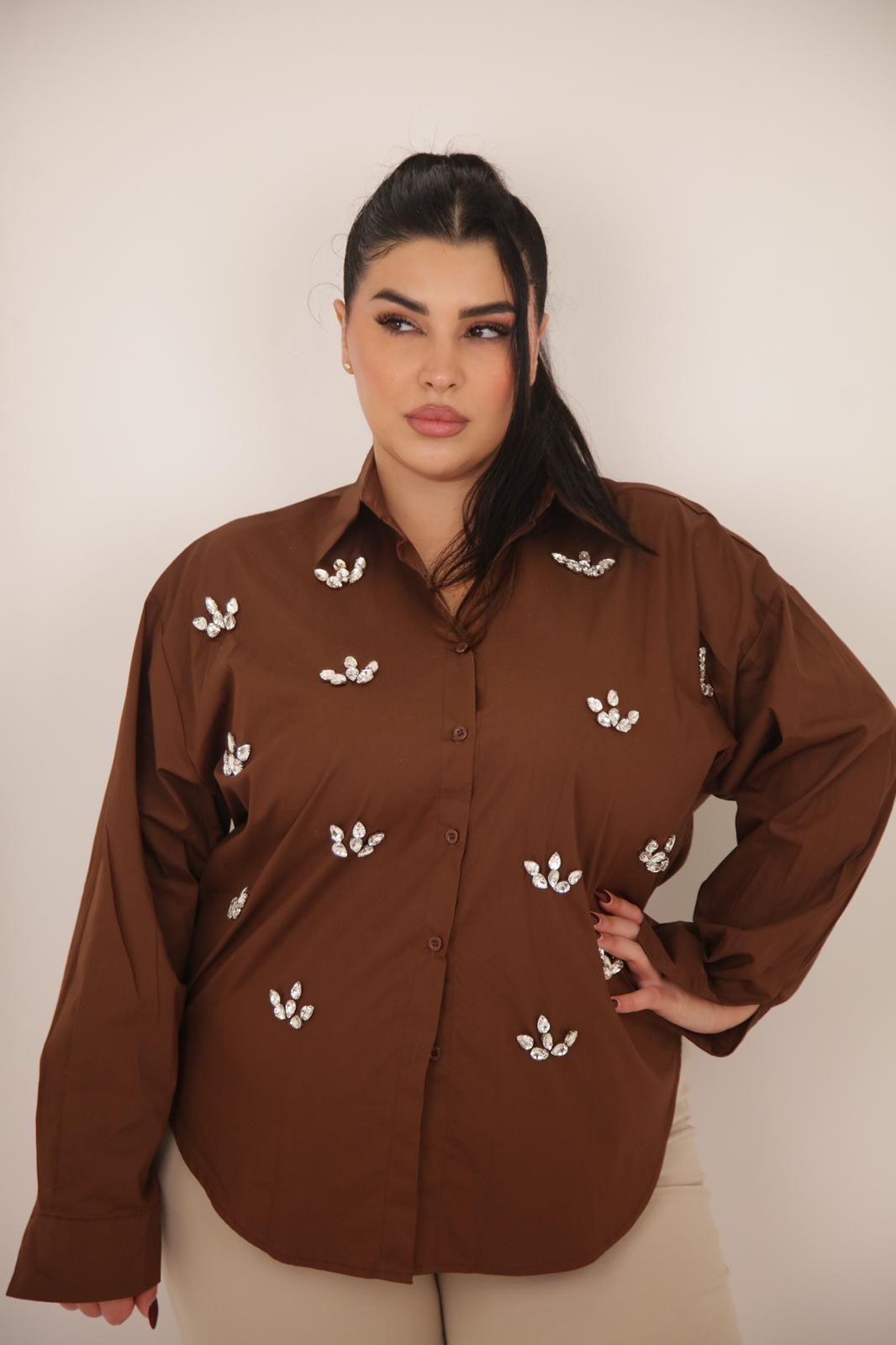 CAMICIA BRILLA MARRONE